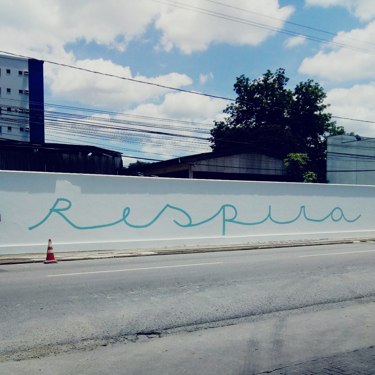 Arte urbana para quem passa pela Avenida Otto Renaux