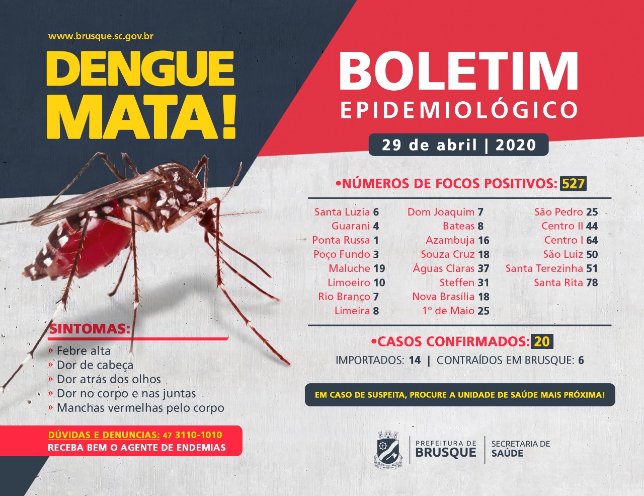 Brusque possui 20 casos confirmados de dengue