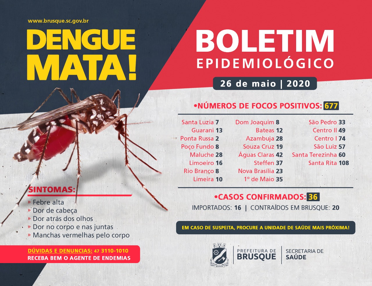 Em pouco mais de três meses 20 casos autóctones de dengue são registrados