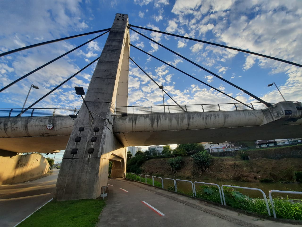 Ponte Estaiada passará por limpeza a partir de amanhã (3)