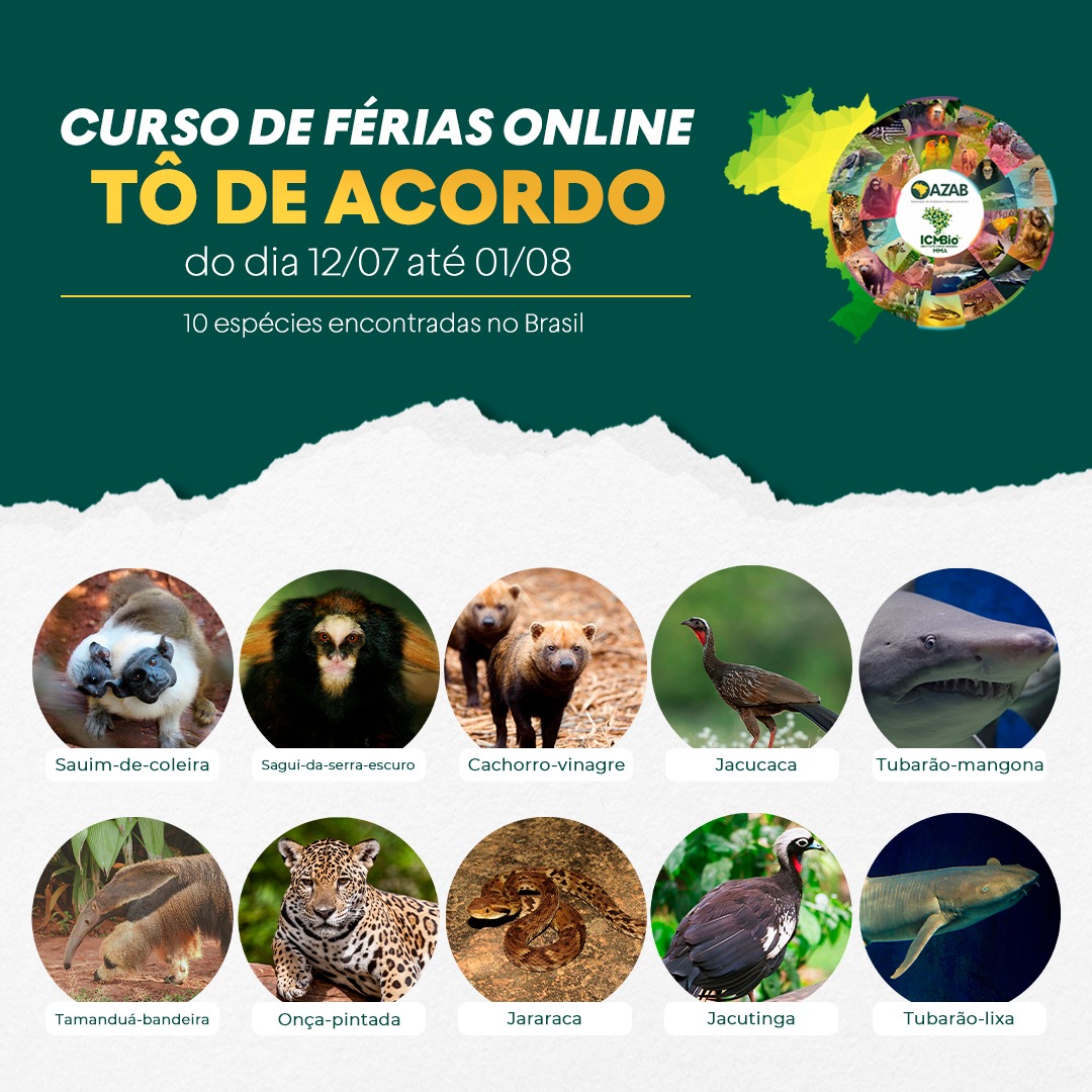 Parque Zoobotânico participa de programação on-line de férias com mais de 20 instituições brasileiras