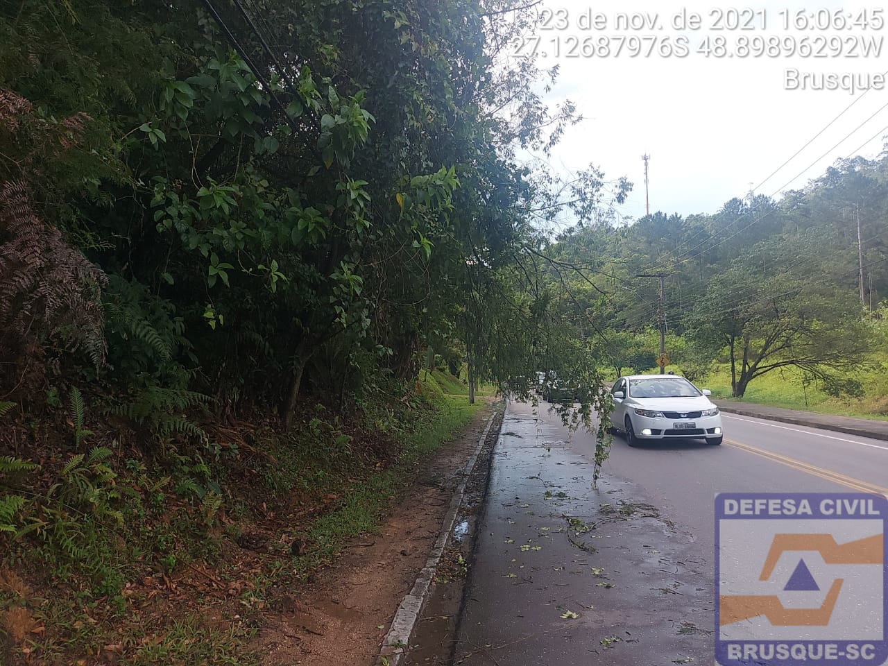 Defesa Civil registra duas quedas de árvore após temporal desta terça-feira