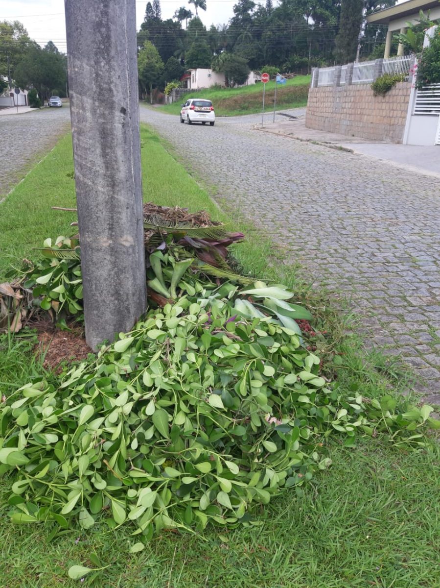 Prefeitura recebe denúncias de descartes irregulares no Jardim Maluche