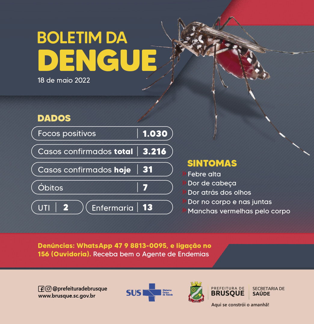 Dengue: casos no ano chegam a 3.216