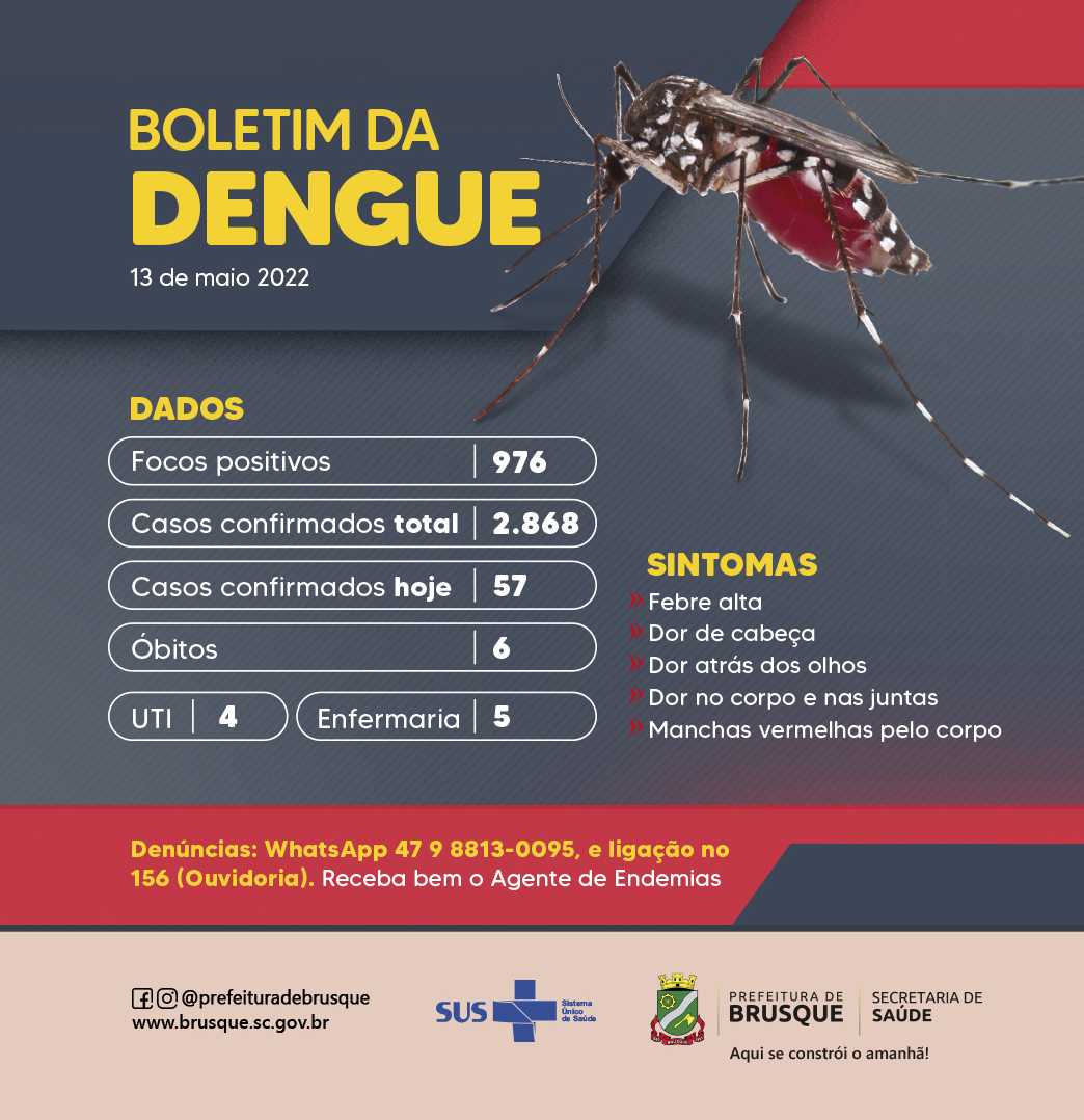 Dengue: casos no ano chegam a 2.868