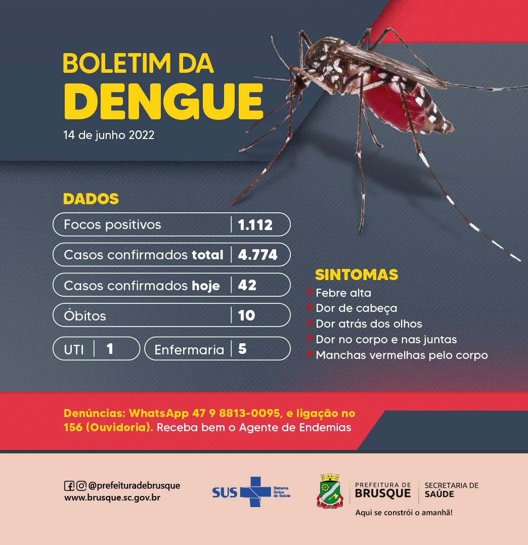 Dengue: casos no ano chegam a 4.774