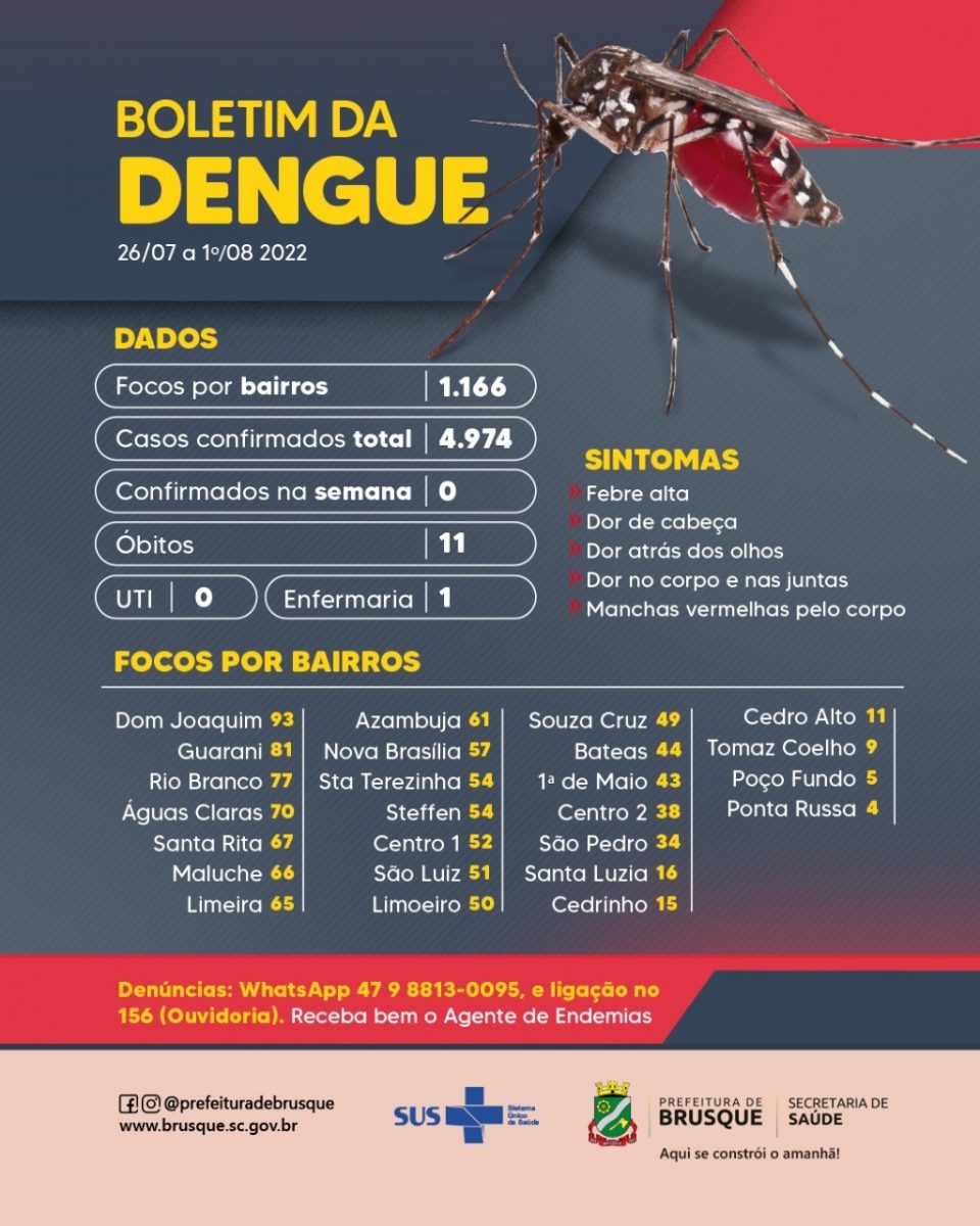 Dengue: Casos no ano chegam a 4.974