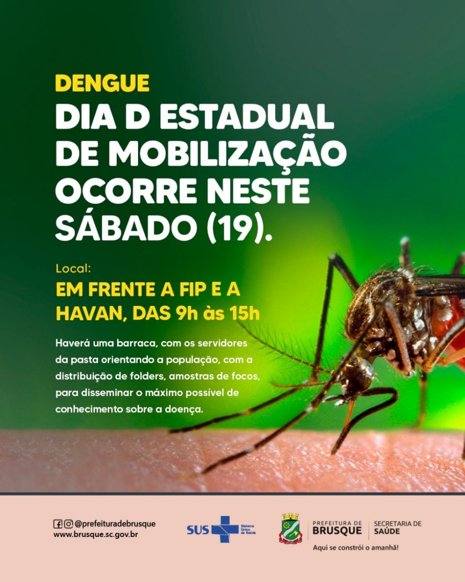 Dengue: Dia D estadual de mobilização ocorre neste sábado em frente a Fip e a Havan