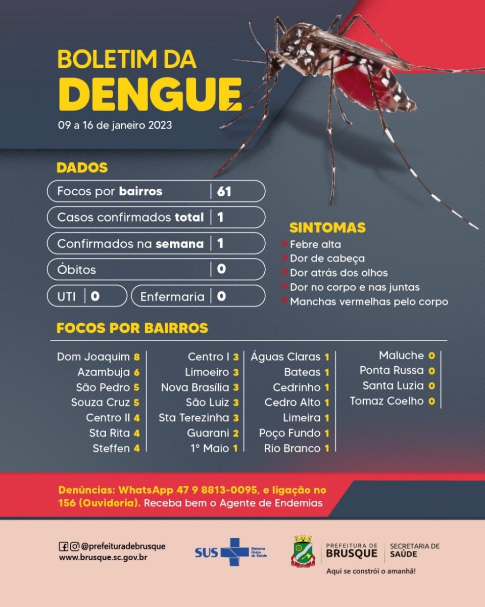 Dengue: Brusque registra o primeiro caso em 2023 e foi contraído em outro Estado