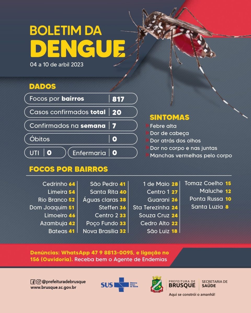 Dengue: Brusque chega a 20 casos confirmados no ano