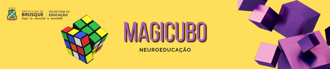 Projeto Magicubo promove a inclusão de alunos PCD na Rede Municipal de Ensino