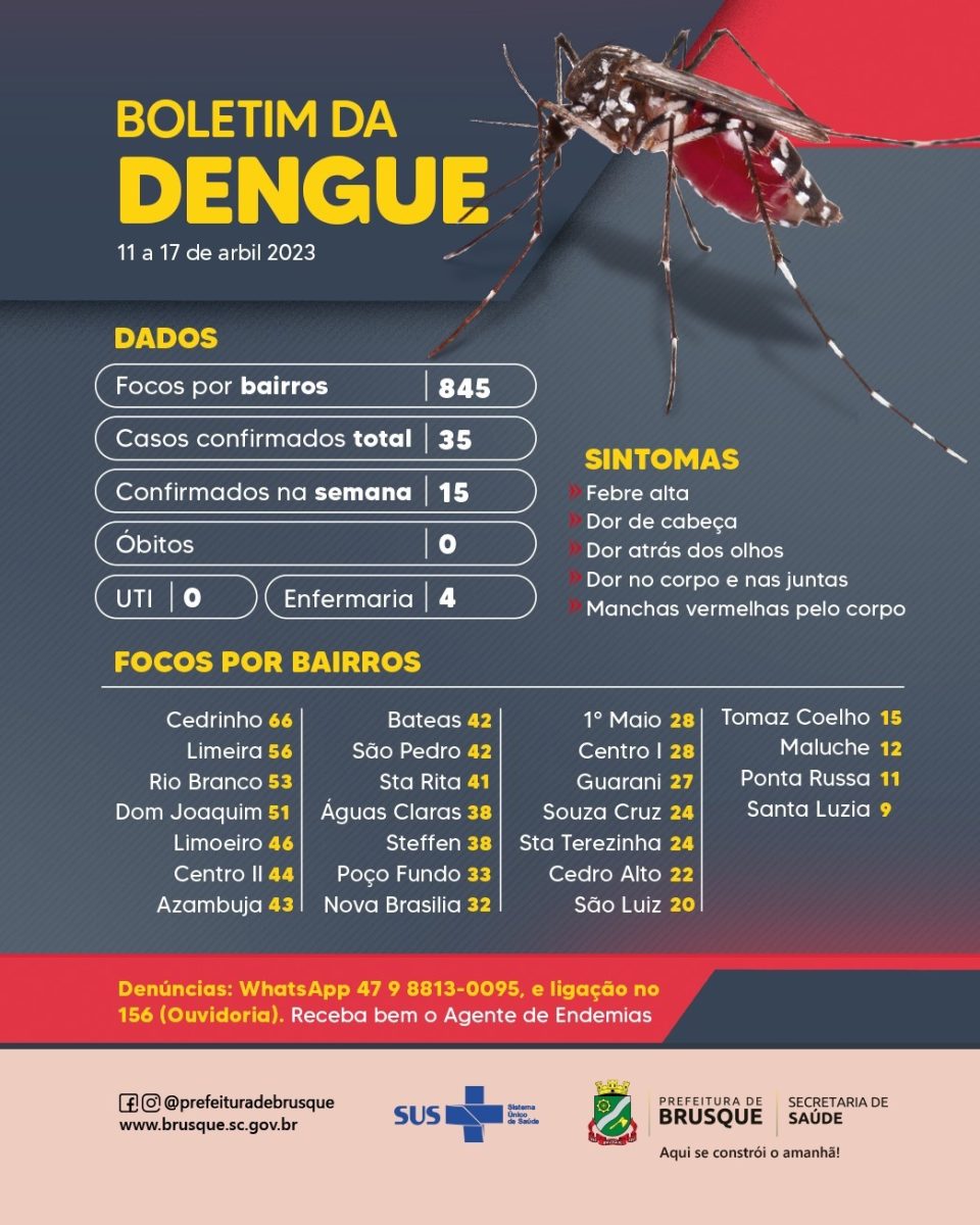 Dengue: casos em Brusque chegam a 35 no ano
