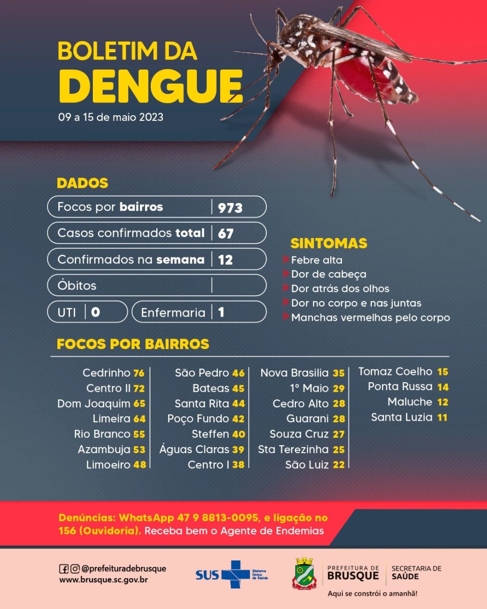 Dengue: Brusque chega a 67 casos confirmados no ano